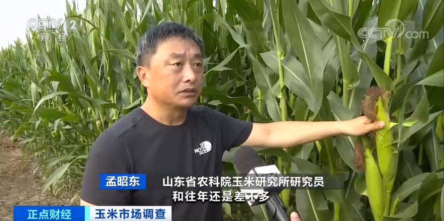 【】连续8个月上涨，还创6年来新高！“玉米”也疯狂？