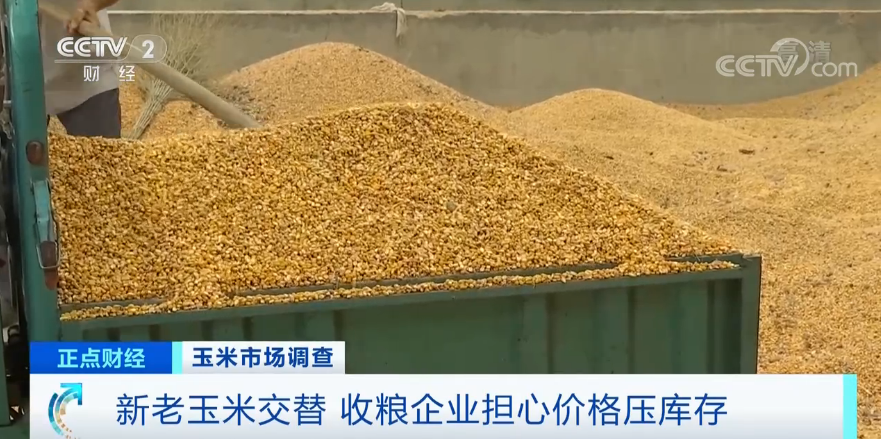 【】连续8个月上涨，还创6年来新高！“玉米”也疯狂？