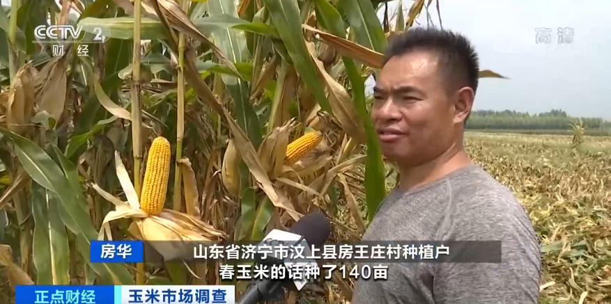 【】连续8个月上涨，还创6年来新高！“玉米”也疯狂？