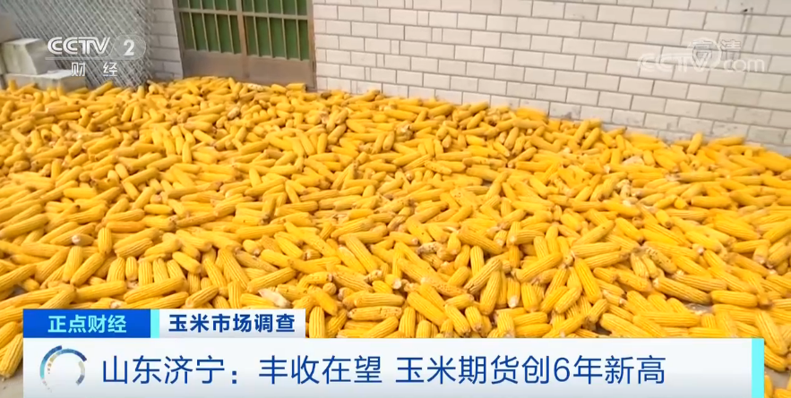 【】连续8个月上涨，还创6年来新高！“玉米”也疯狂？