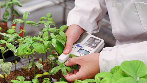 (新春走基层·民企这一年)科技育种数字大棚,不一样的田间地头