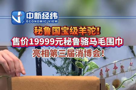 秘鲁国宝级羊驼！19999元骆马毛围巾亮相消博会