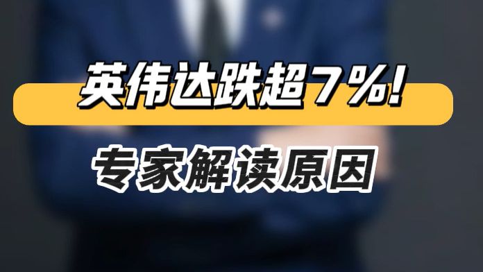 学者谈英伟达暴跌7%：科技巨头AI投资回报不及预期｜宅男财经