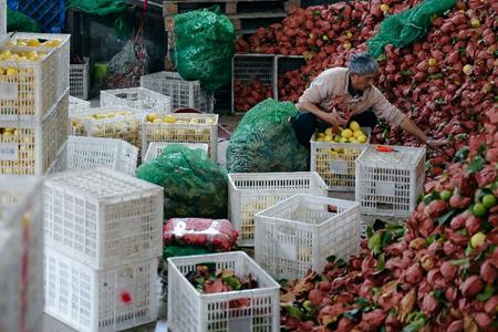 拼多多发布Q3财报,赵佳臻:十周年是新起点,未来投入更多惠商战