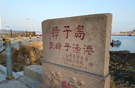 A股开年最无厘头涨停！獐子岛扇贝是误会还是炒作？