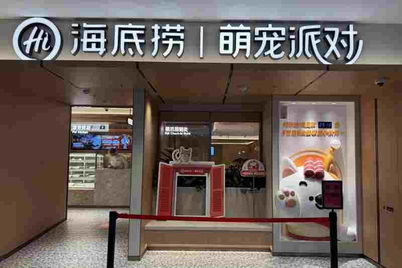 海底捞宠物友好主题店落户苏州 创新场景开启“与宠相伴”火锅新体验
