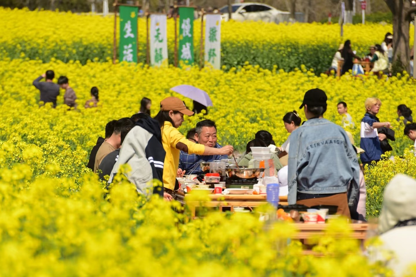 从“打卡赏花”到“花海涮锅”  海底捞这样撬动春日经济