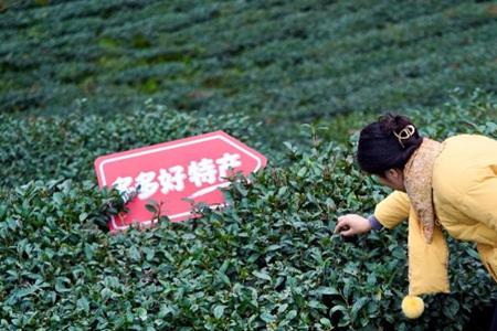 拼多多赵佳臻:公司上下启动组织重塑,久久为功深耕新十年