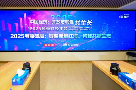 专家热议2025电商破局路径：拼多多“千亿扶持”助力商家突围流量红海，构建共赢生态