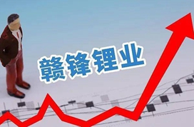 赣锋锂业毛利率止步三连跌，基金持股不足三成