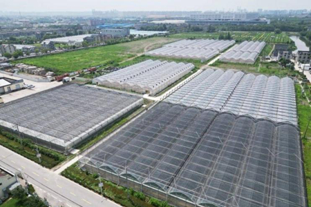 渤海银行创新金融服务与产品 扎根农村普惠“沃土”