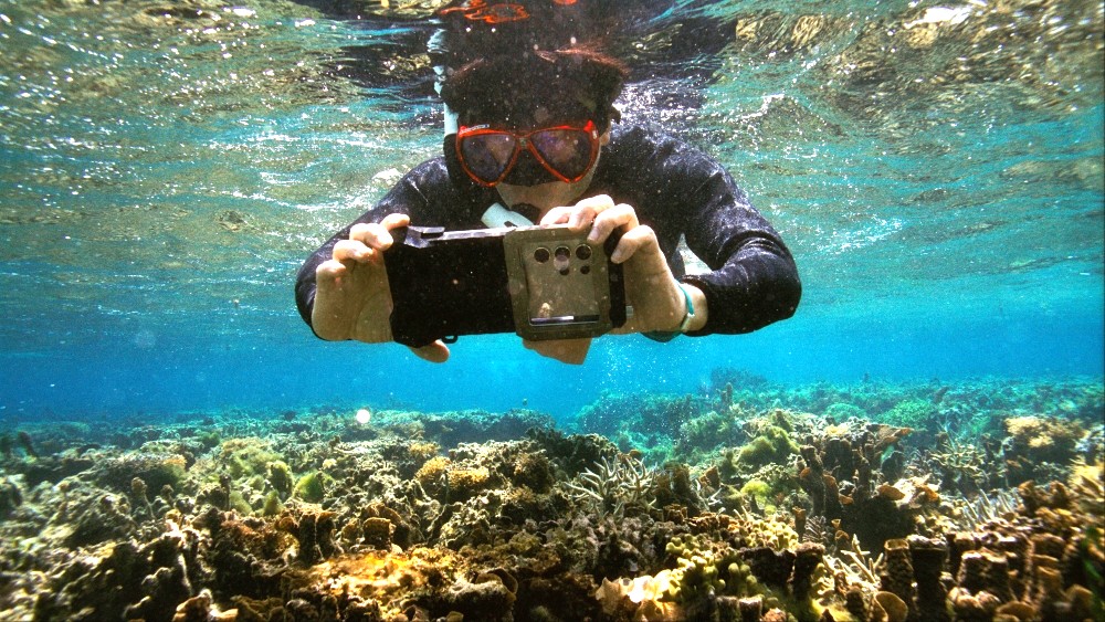 中国三星再登外企社责榜首，CSR新三年战略收官