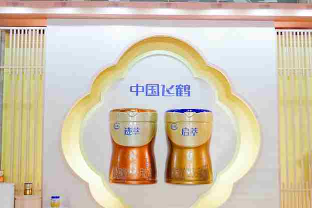 同心同向，阔步春光，2025飞鹤合作伙伴大会圆满召开