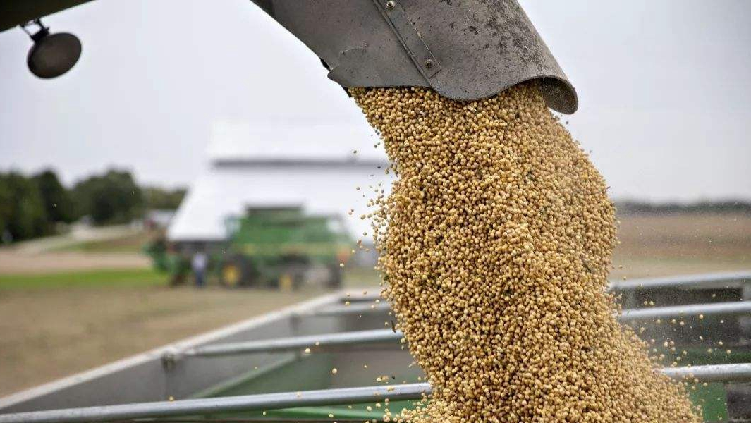 【财经下午茶】兴业矿业质押爆仓追踪:国金等10多家机构踩雷