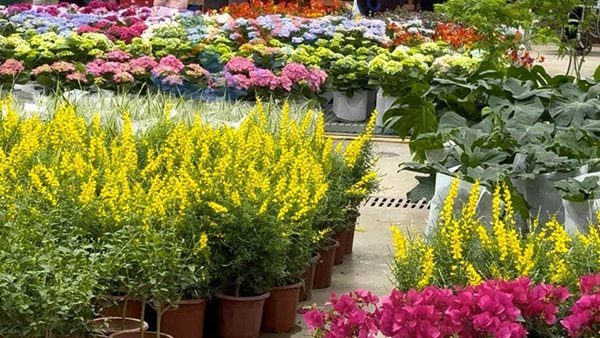 ��������̽����