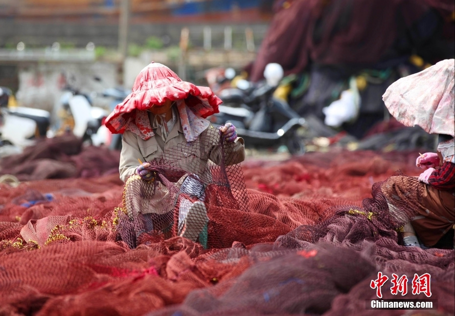 浙江温岭休渔期渔民修补渔网场面如同油画