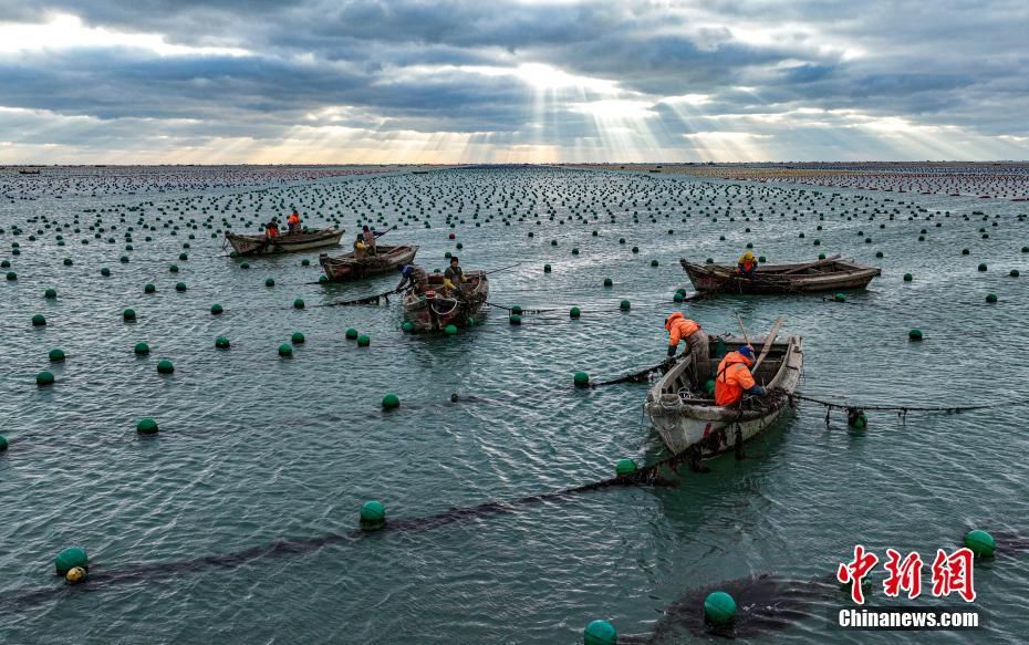 农耕 游牧 渔猎 海洋图片